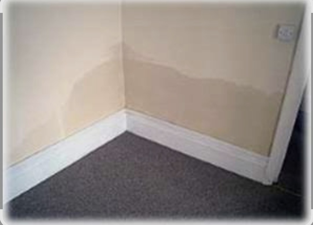 Damp proofing work by W. Evans